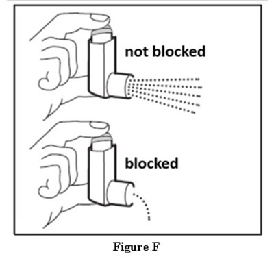 Figure F (Figure F)